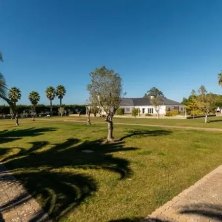Quinta Palmeira Real Holiday home Chelreira
