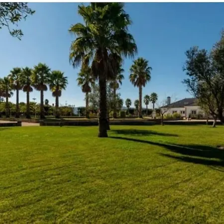 Quinta Palmeira Real Holiday home *