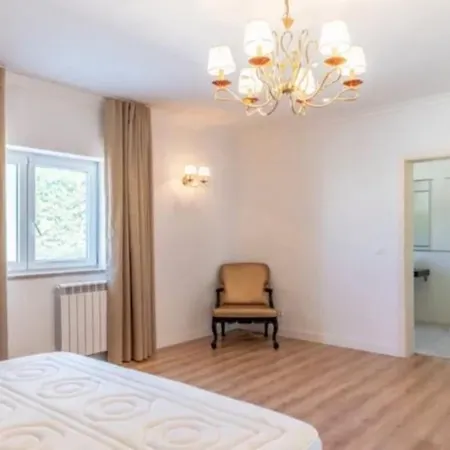Holiday home Quinta Palmeira Real Chelreira
