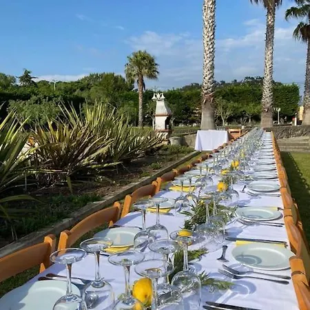 Quinta Palmeira Real Holiday home